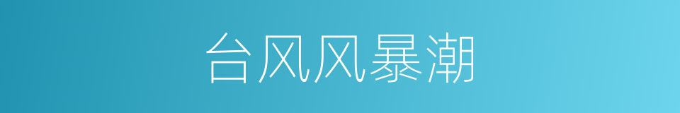 台风风暴潮的同义词