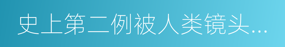 史上第二例被人类镜头捕捉到的花仙子身影的同义词