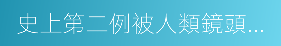 史上第二例被人類鏡頭捕捉到的花仙子身影的同義詞