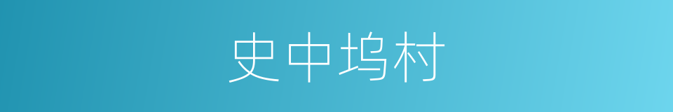 史中坞村的同义词