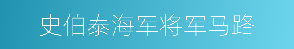 史伯泰海军将军马路的同义词