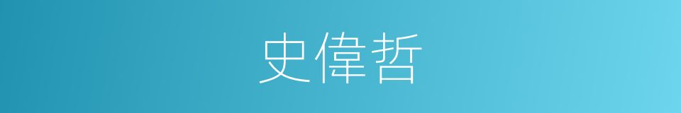 史偉哲的同義詞