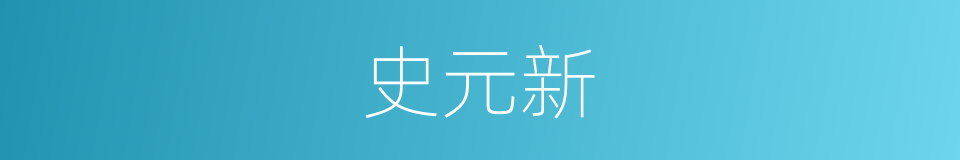 史元新的同义词