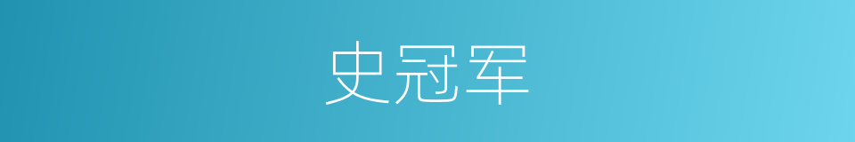 史冠军的同义词