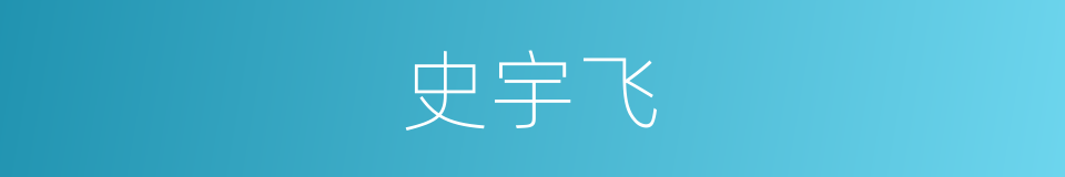 史宇飞的同义词