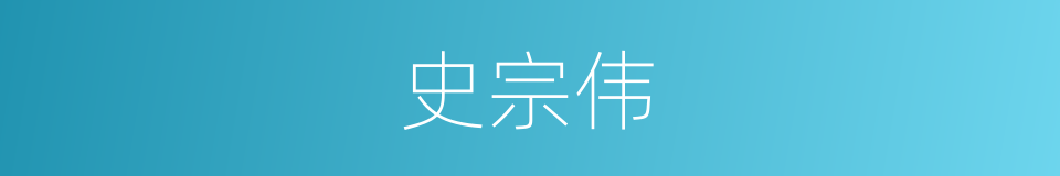 史宗伟的同义词