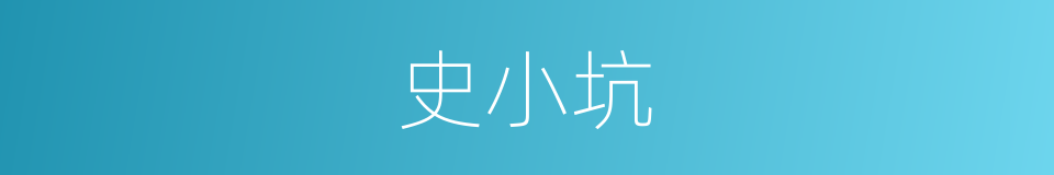 史小坑的同义词