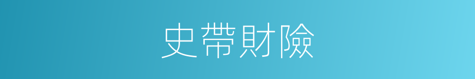史帶財險的同義詞