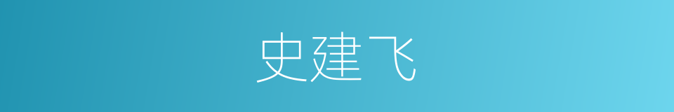 史建飞的同义词