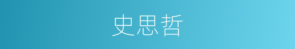 史思哲的同义词