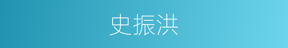 史振洪的同义词