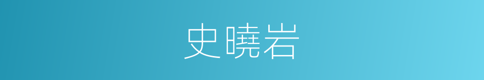 史曉岩的同義詞