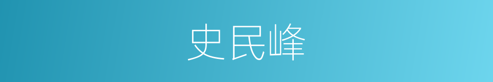 史民峰的同义词