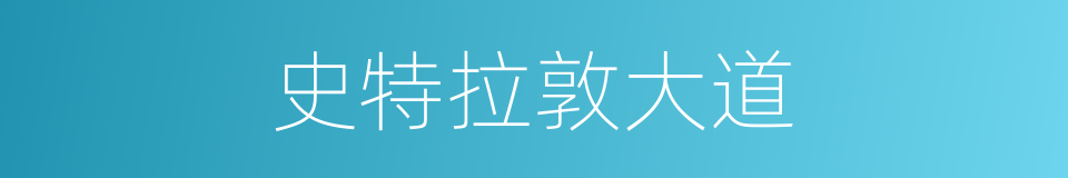 史特拉敦大道的同义词