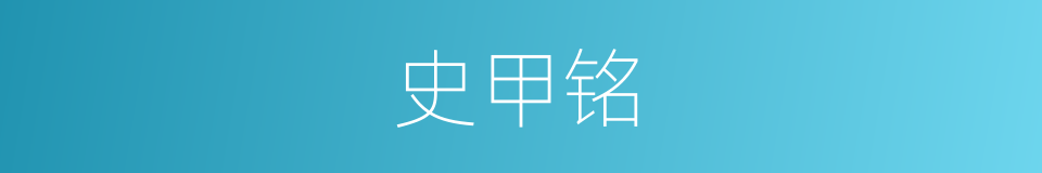 史甲铭的同义词