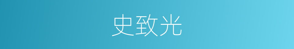 史致光的同义词
