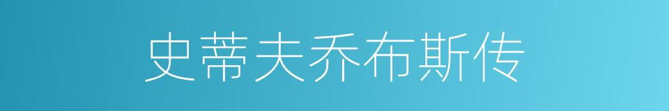 史蒂夫乔布斯传的同义词