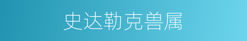 史达勒克兽属的同义词