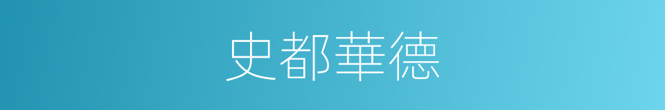 史都華德的同義詞