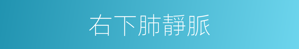 右下肺靜脈的同義詞