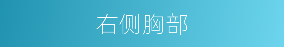 右侧胸部的同义词