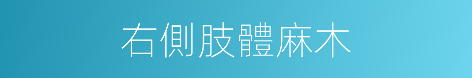 右側肢體麻木的同義詞