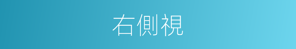 右側視的同義詞