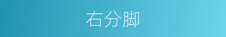 右分脚的同义词