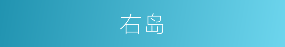 右岛的同义词