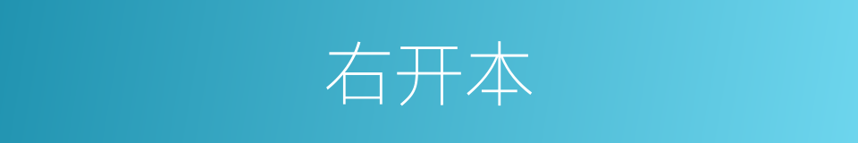 右开本的同义词