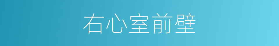 右心室前壁的同义词