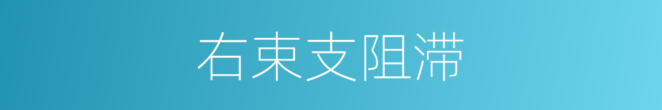 右束支阻滞的同义词