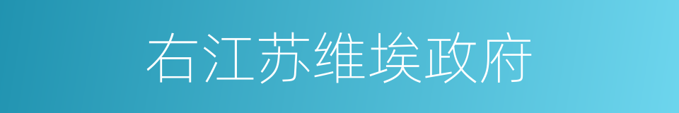 右江苏维埃政府的同义词