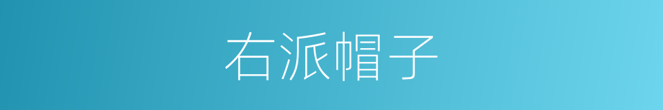 右派帽子的同义词