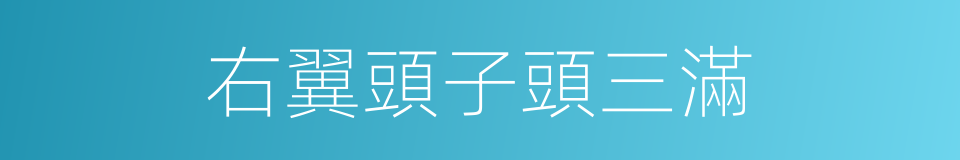 右翼頭子頭三滿的同義詞