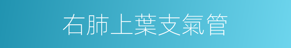 右肺上葉支氣管的同義詞