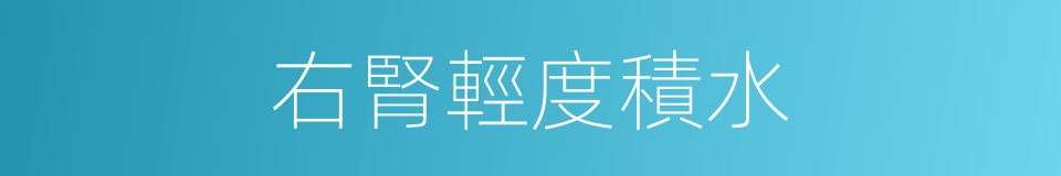 右腎輕度積水的同義詞