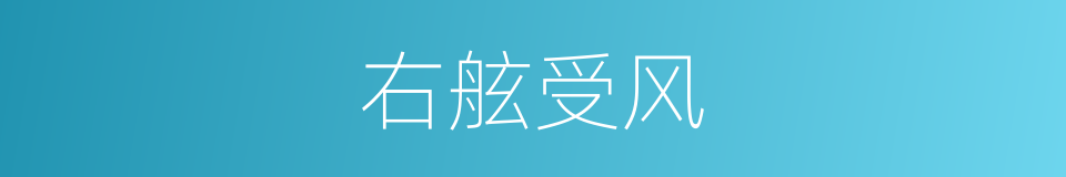 右舷受风的同义词