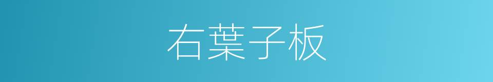 右葉子板的同義詞