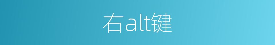 右alt键的同义词