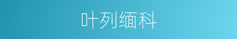 叶列缅科的同义词