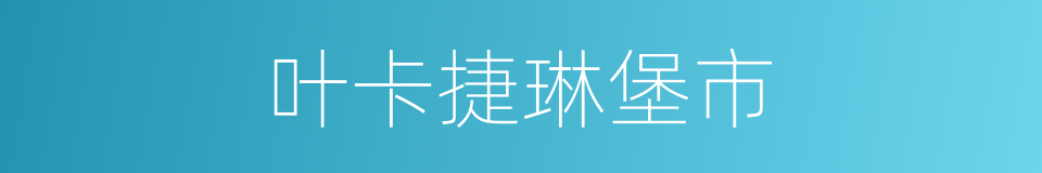 叶卡捷琳堡市的同义词