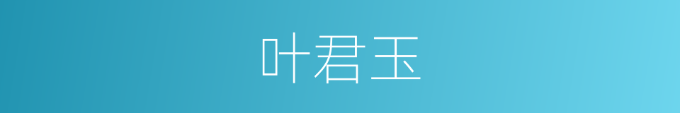 叶君玉的同义词