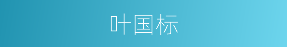 叶国标的同义词