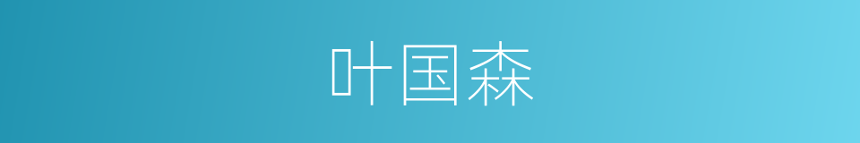 叶国森的同义词