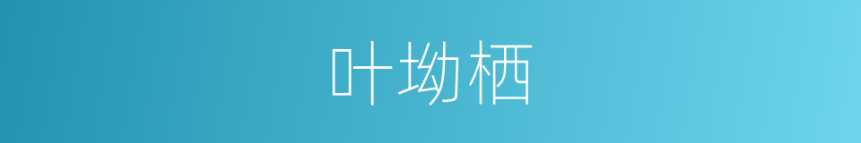 叶坳栖的同义词