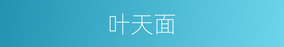 叶天面的同义词