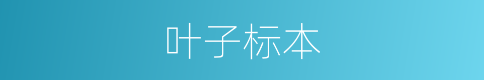 叶子标本的同义词
