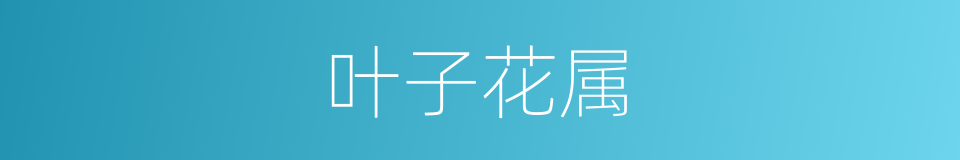 叶子花属的同义词