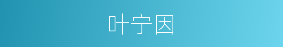 叶宁因的同义词